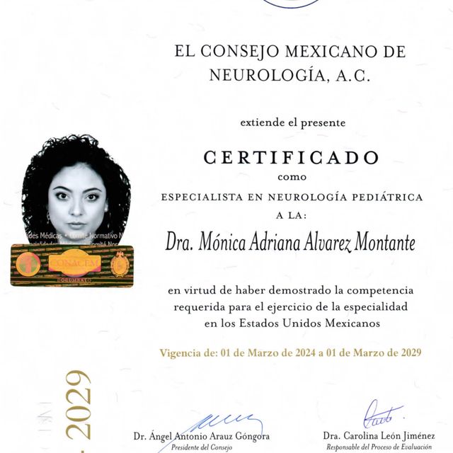 Ampliar imagen: certificate 1
