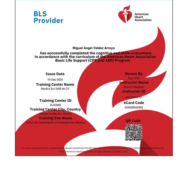 Ampliar imagen: certificate 4