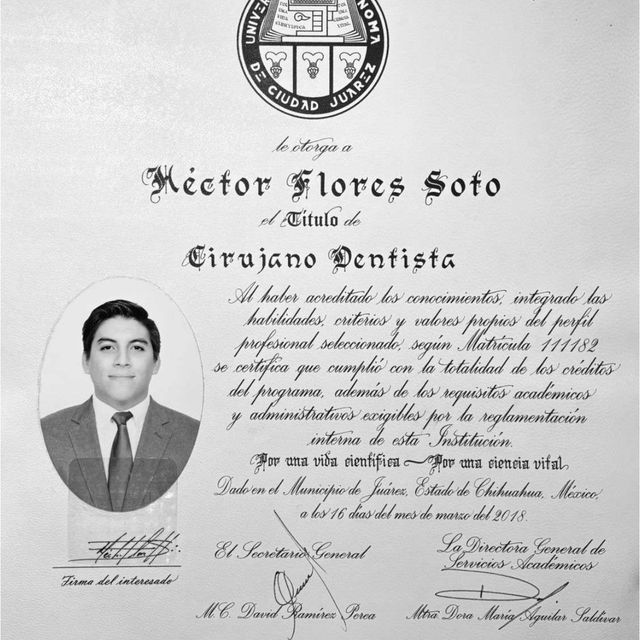 Ampliar imagen: certificate 1