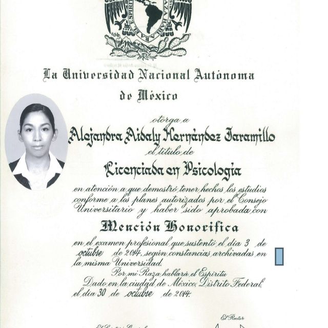 Ampliar imagen: certificate 1