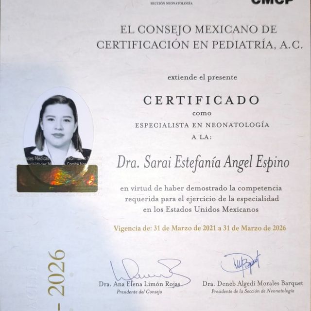Ampliar imagen: certificate 2
