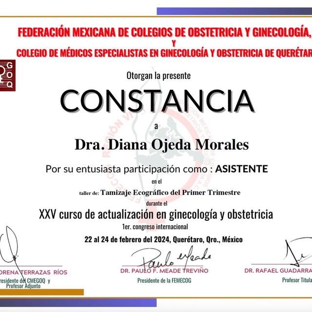 Ampliar imagen: certificate 6