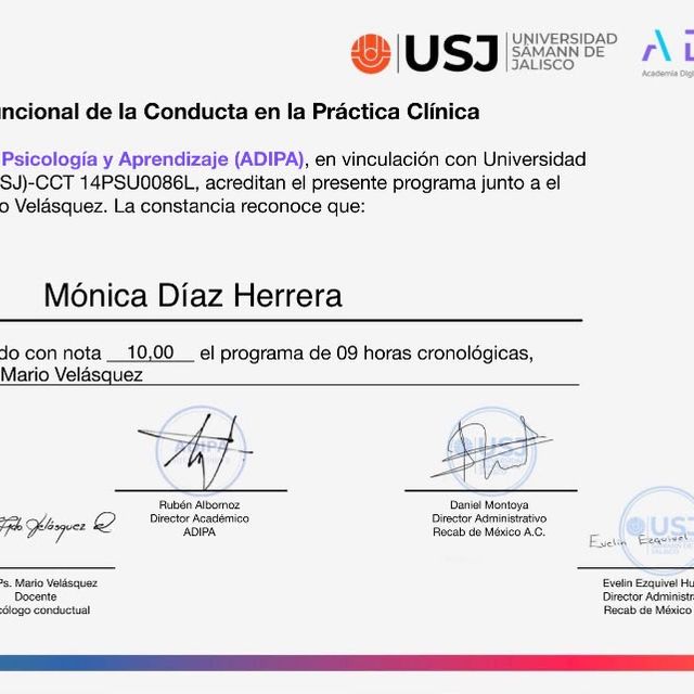 Ampliar imagen: certificate 3