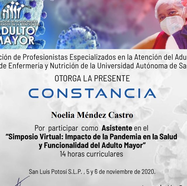 Ampliar imagen: certificate 9