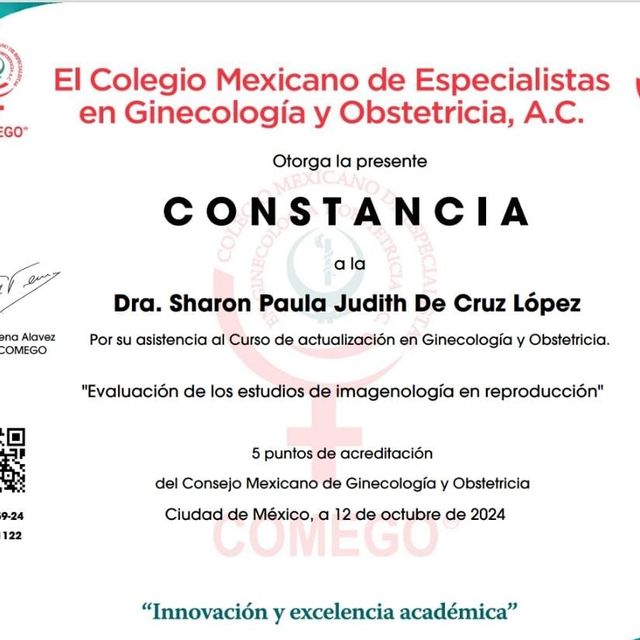Ampliar imagen: certificate 9