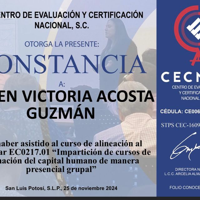 Ampliar imagen: certificate 31