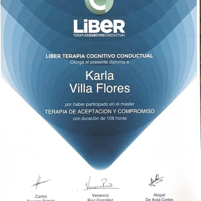 Ampliar imagen: certificate 2