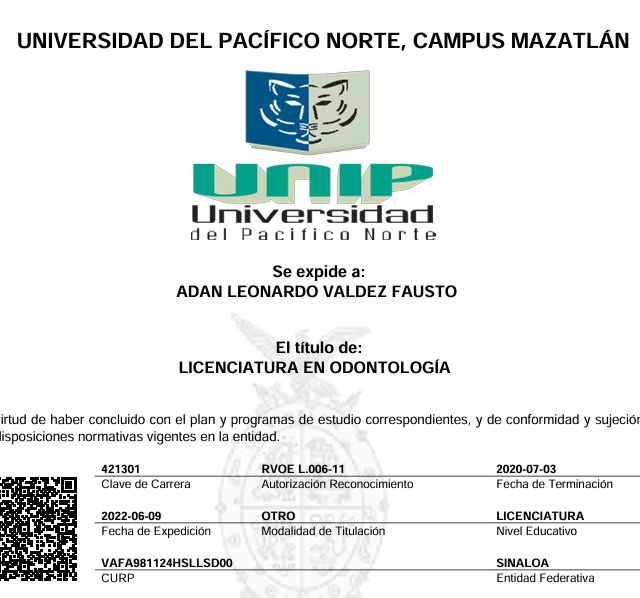 Ampliar imagen: certificate 2