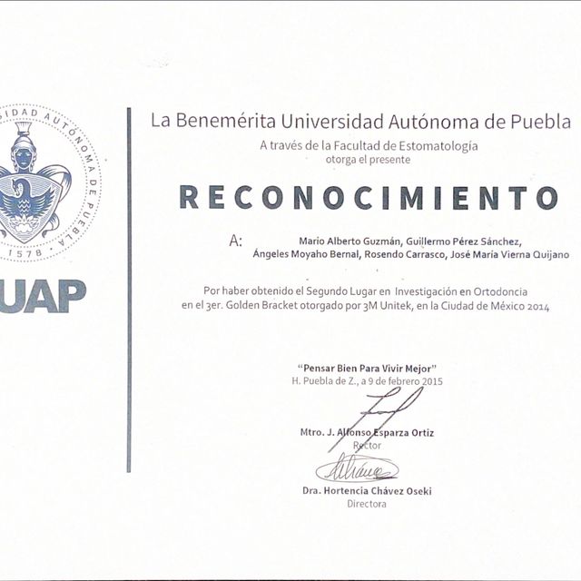 Ampliar imagen: certificate 11