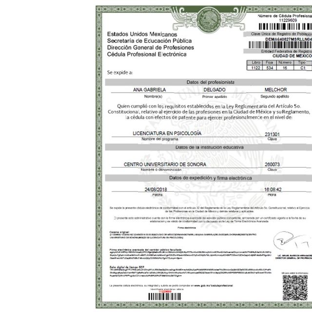 Ampliar imagen: certificate 4