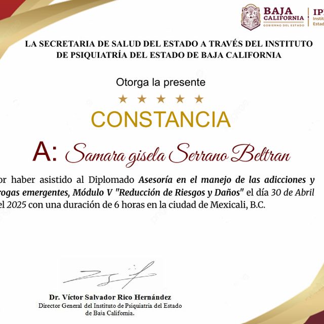 Ampliar imagen: certificate 21