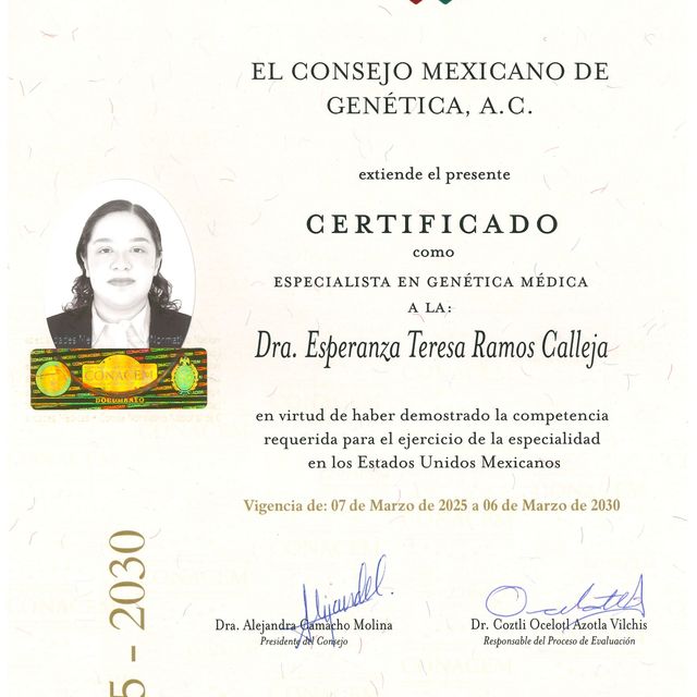 Ampliar imagen: certificate 5