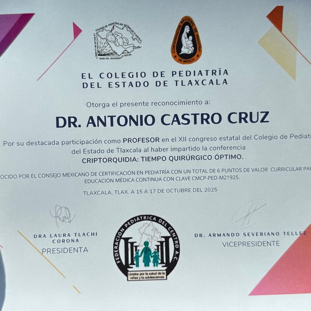 Ampliar imagen: certificate 5