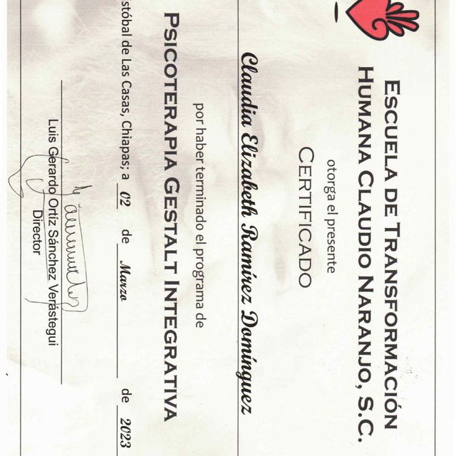 Ampliar imagen: certificate 5