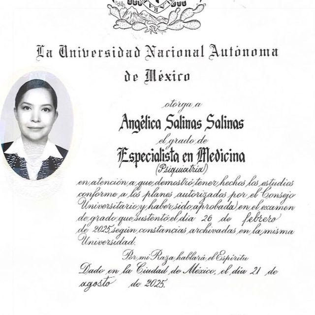 Ampliar imagen: certificate 3
