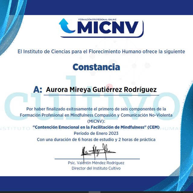 Ampliar imagen: certificate 10