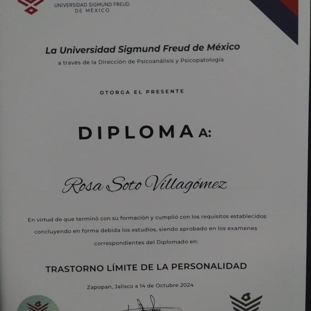 Ampliar imagen: certificate 1