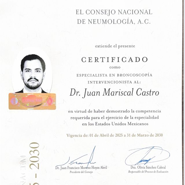Ampliar imagen: certificate 2
