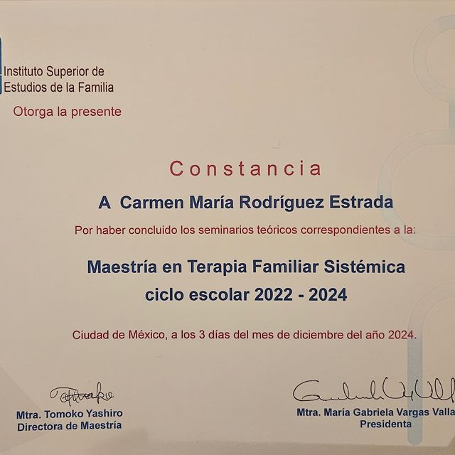 Ampliar imagen: certificate 5