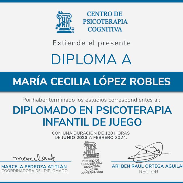 Ampliar imagen: certificate 3