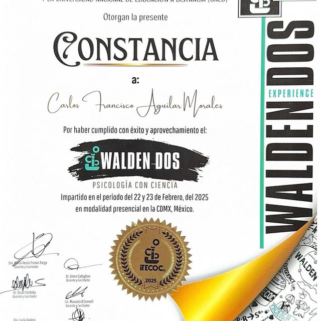 Ampliar imagen: certificate 7