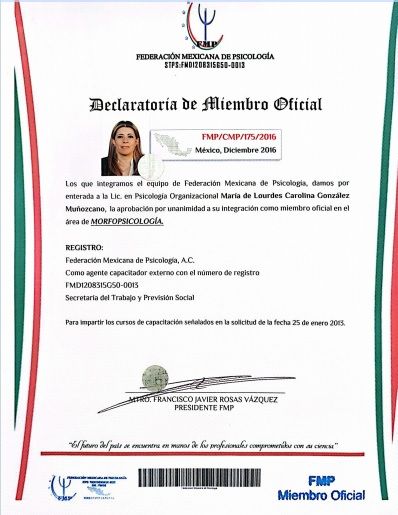 Ampliar imagen: certificate 8