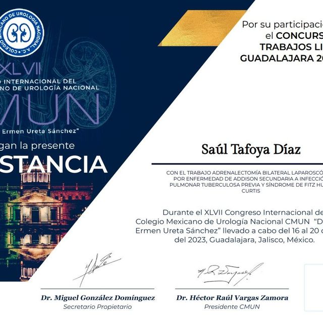 Ampliar imagen: certificate 11