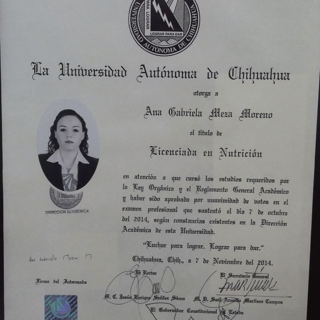 Ampliar imagen: certificate 3