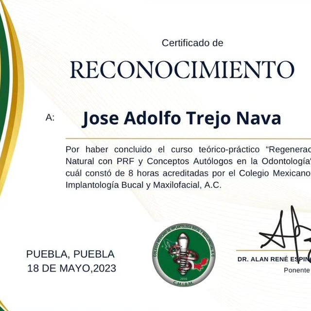 Ampliar imagen: certificate 4