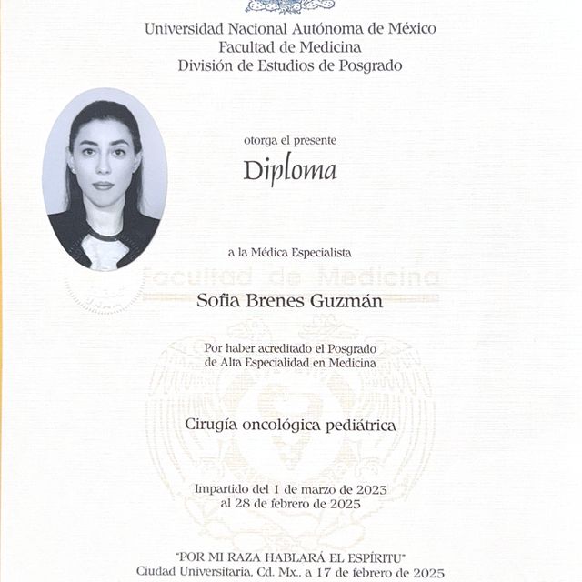 Ampliar imagen: certificate 5