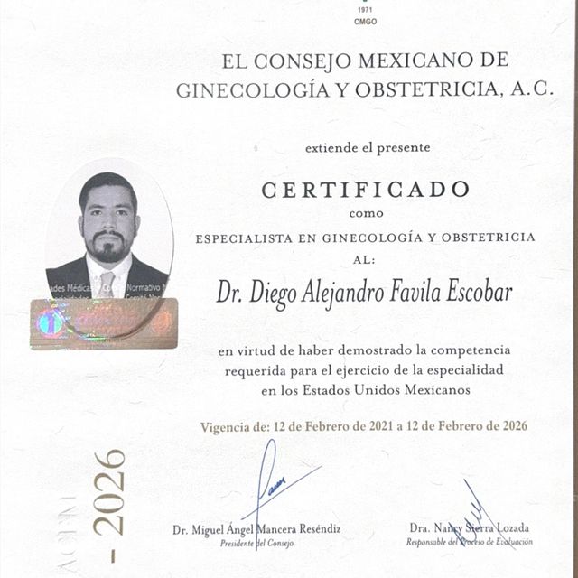 Ampliar imagen: certificate 1