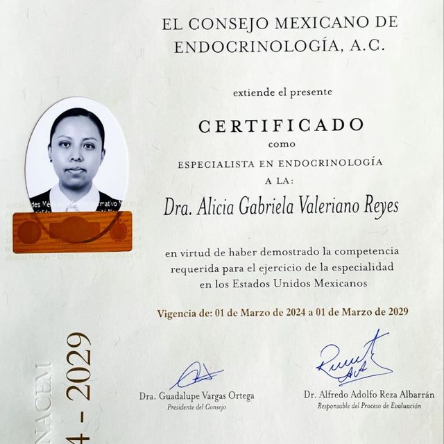 Ampliar imagen: certificate 1