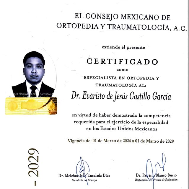 Ampliar imagen: certificate 2