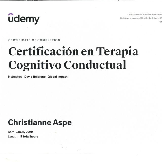 Ampliar imagen: certificate 6