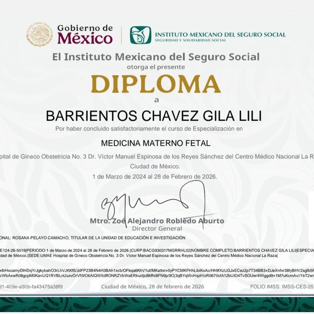 Ampliar imagen: certificate 2