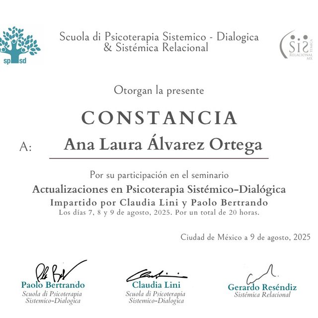 Ampliar imagen: certificate 5