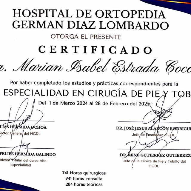 Ampliar imagen: certificate 3