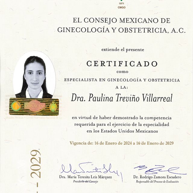 Ampliar imagen: certificate 1