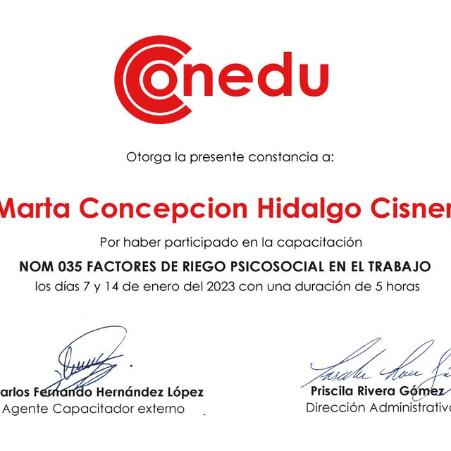 Ampliar imagen: certificate 13