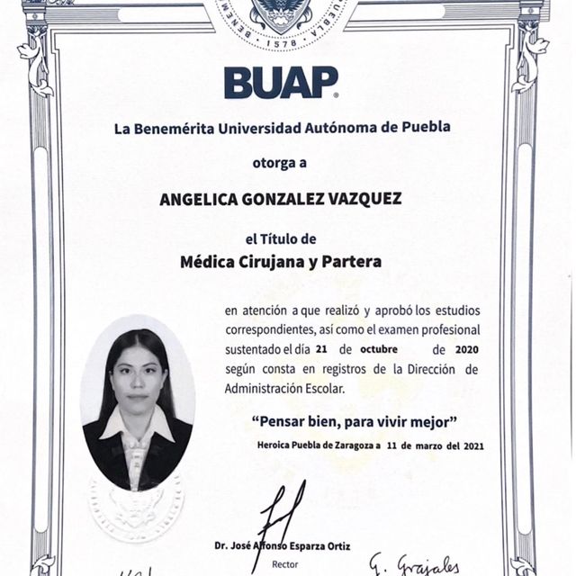 Ampliar imagen: certificate 3