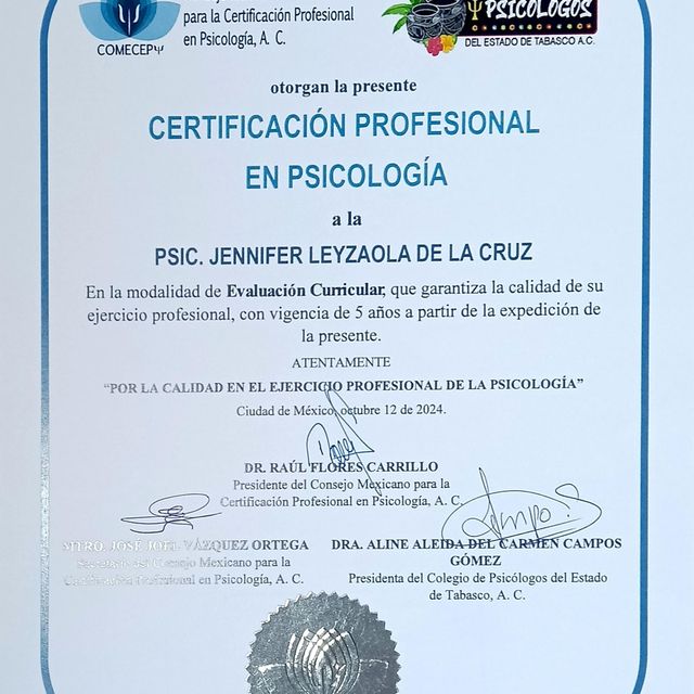 Ampliar imagen: certificate 27