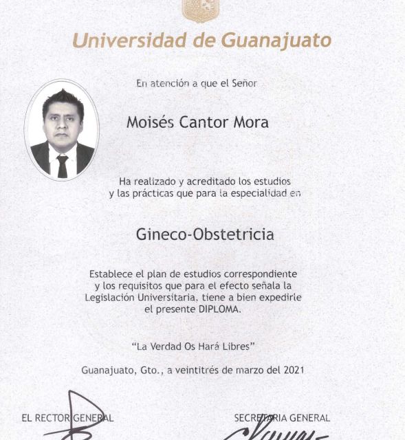 Ampliar imagen: certificate 3