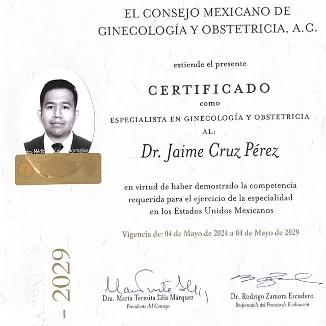Ampliar imagen: certificate 1