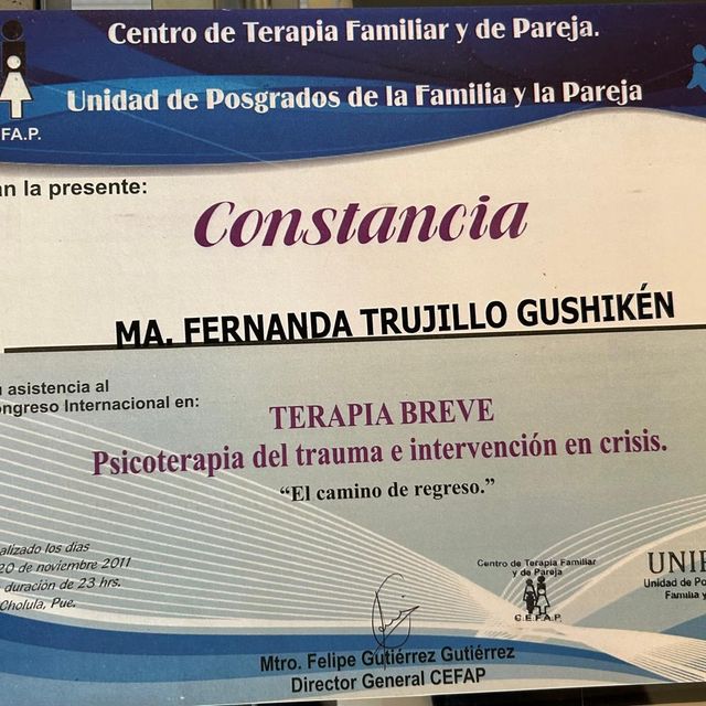 Ampliar imagen: certificate 22