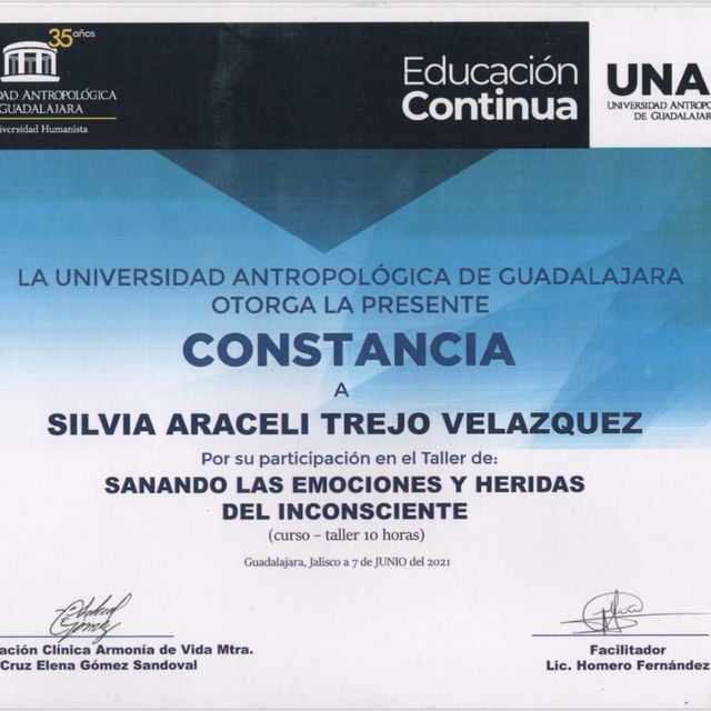 Ampliar imagen: certificate 8