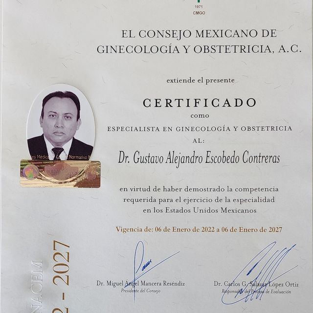 Ampliar imagen: certificate 1