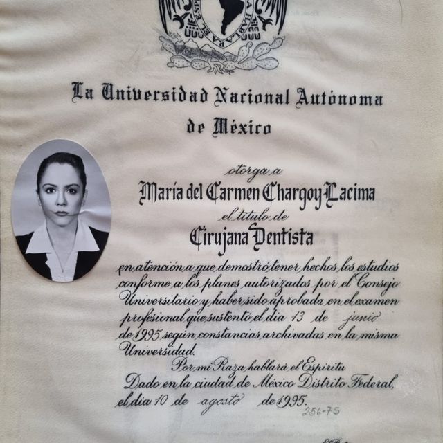 Ampliar imagen: certificate 1