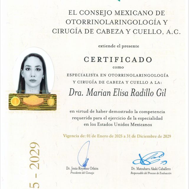 Ampliar imagen: certificate 5