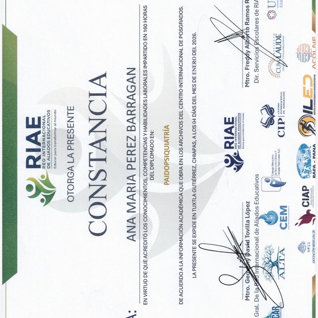 Ampliar imagen: certificate 2