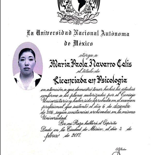 Ampliar imagen: certificate 1